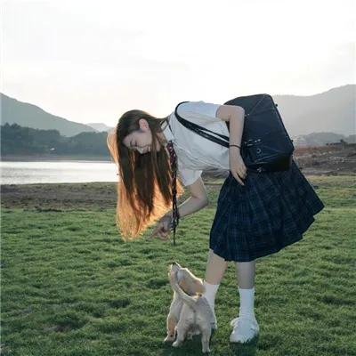 玉屏风